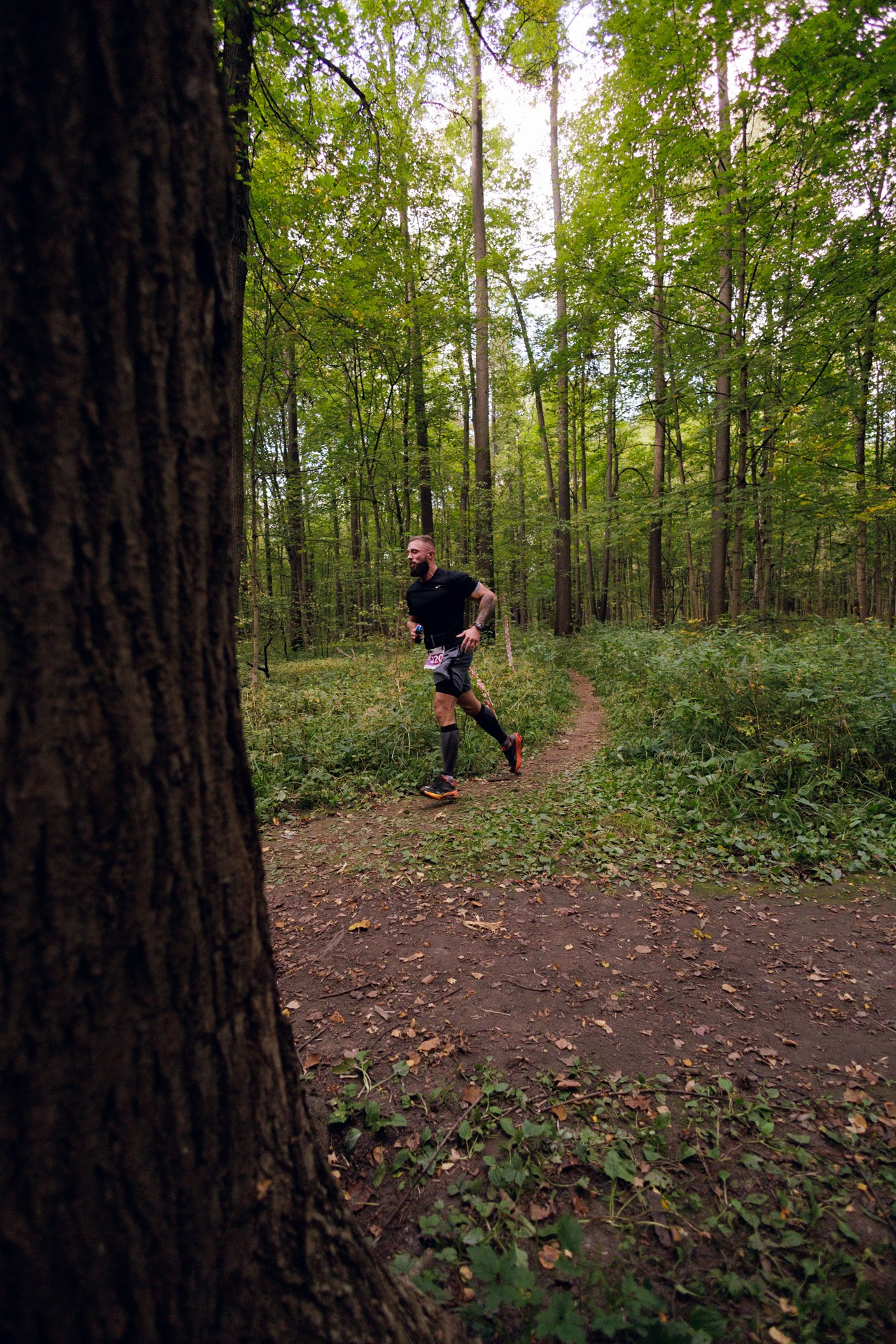 CityTrail Izmailovo