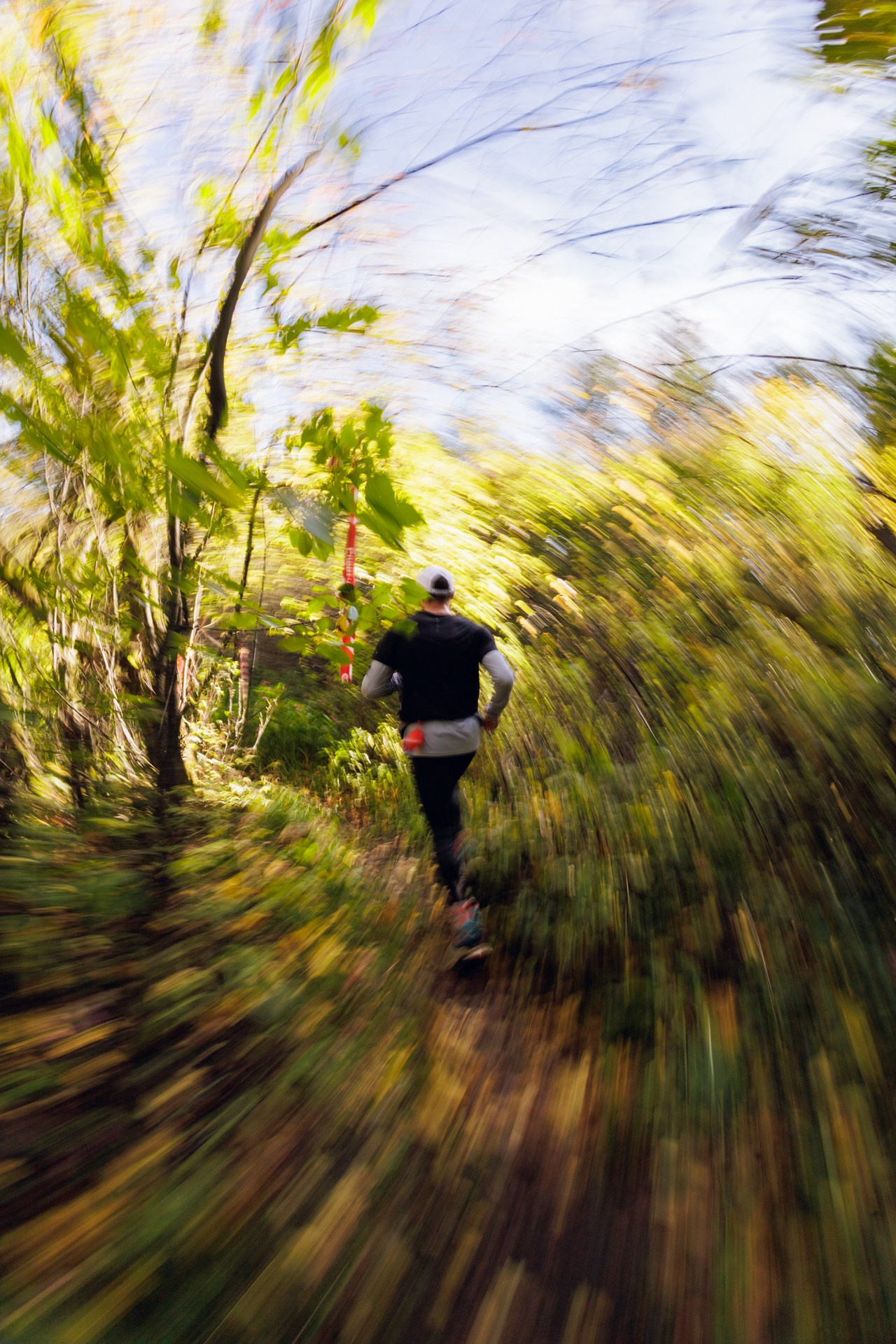 CityTrail Izmailovo