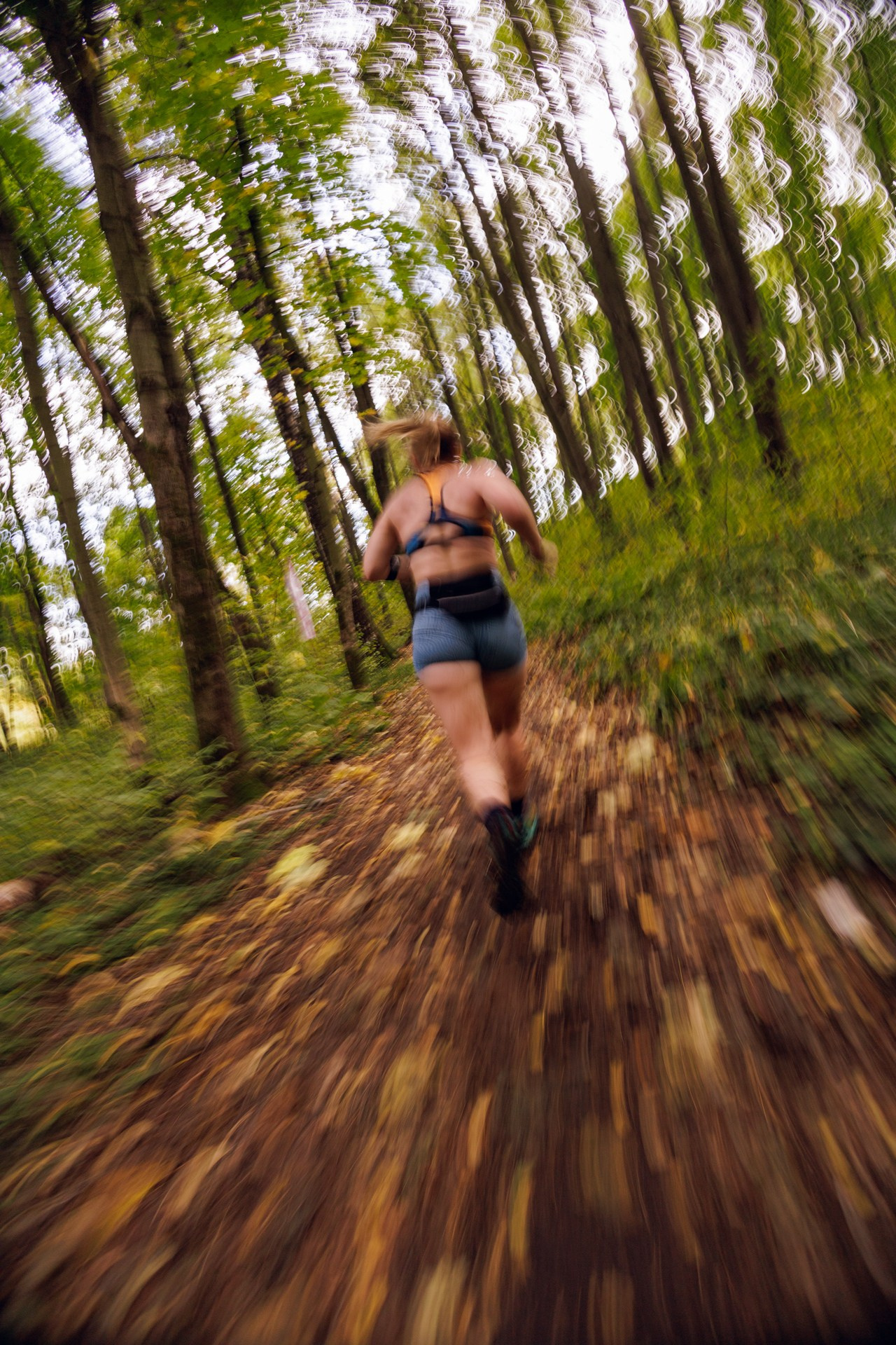 CityTrail Izmailovo