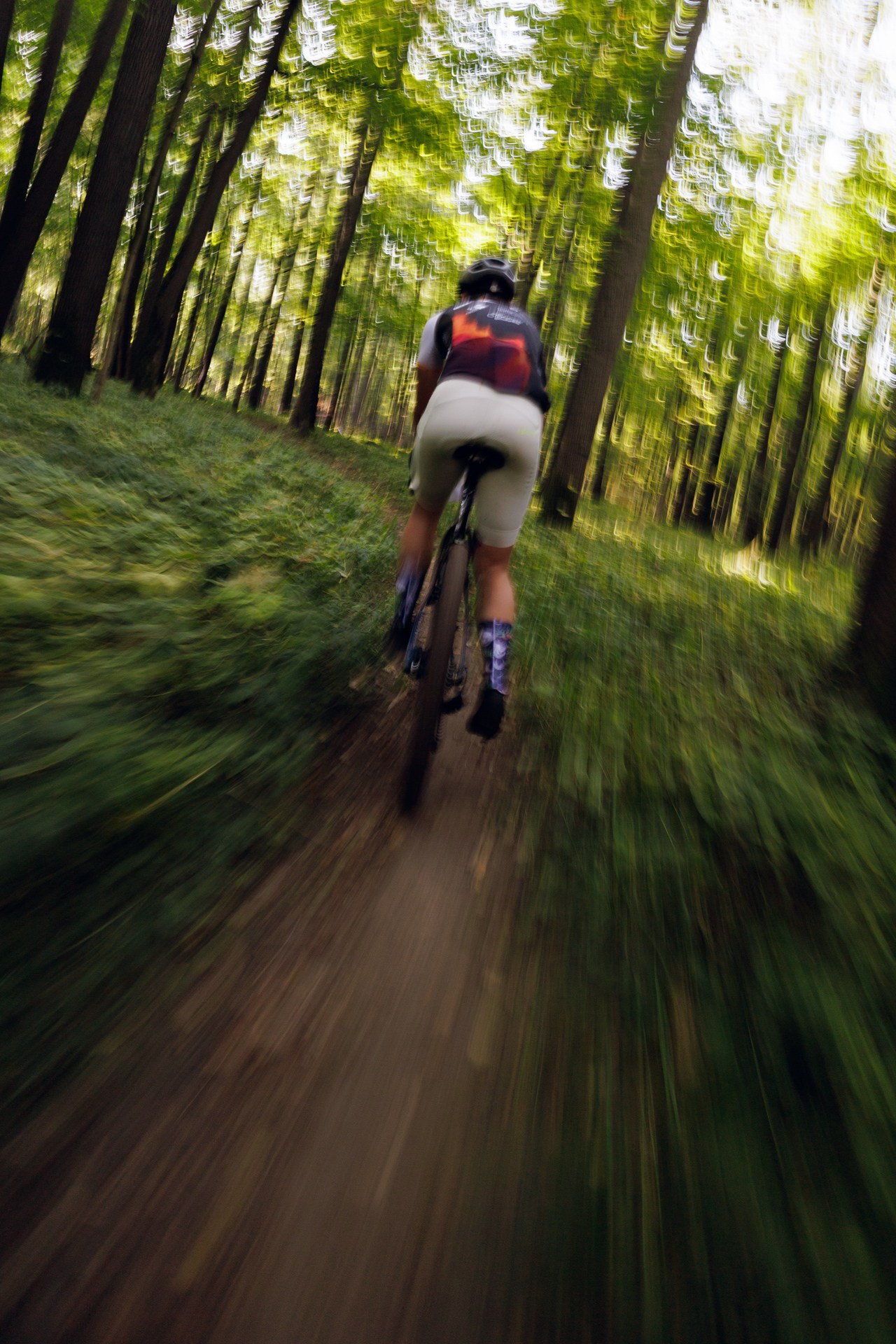 CityTrail Izmailovo