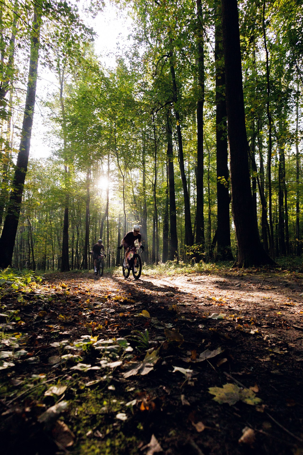 CityTrail Izmailovo