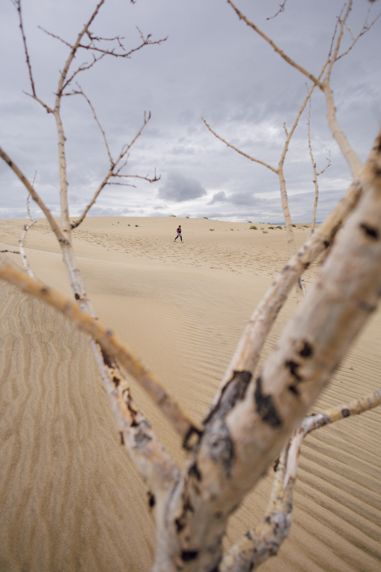 Kodar Ridge Chara Sands
