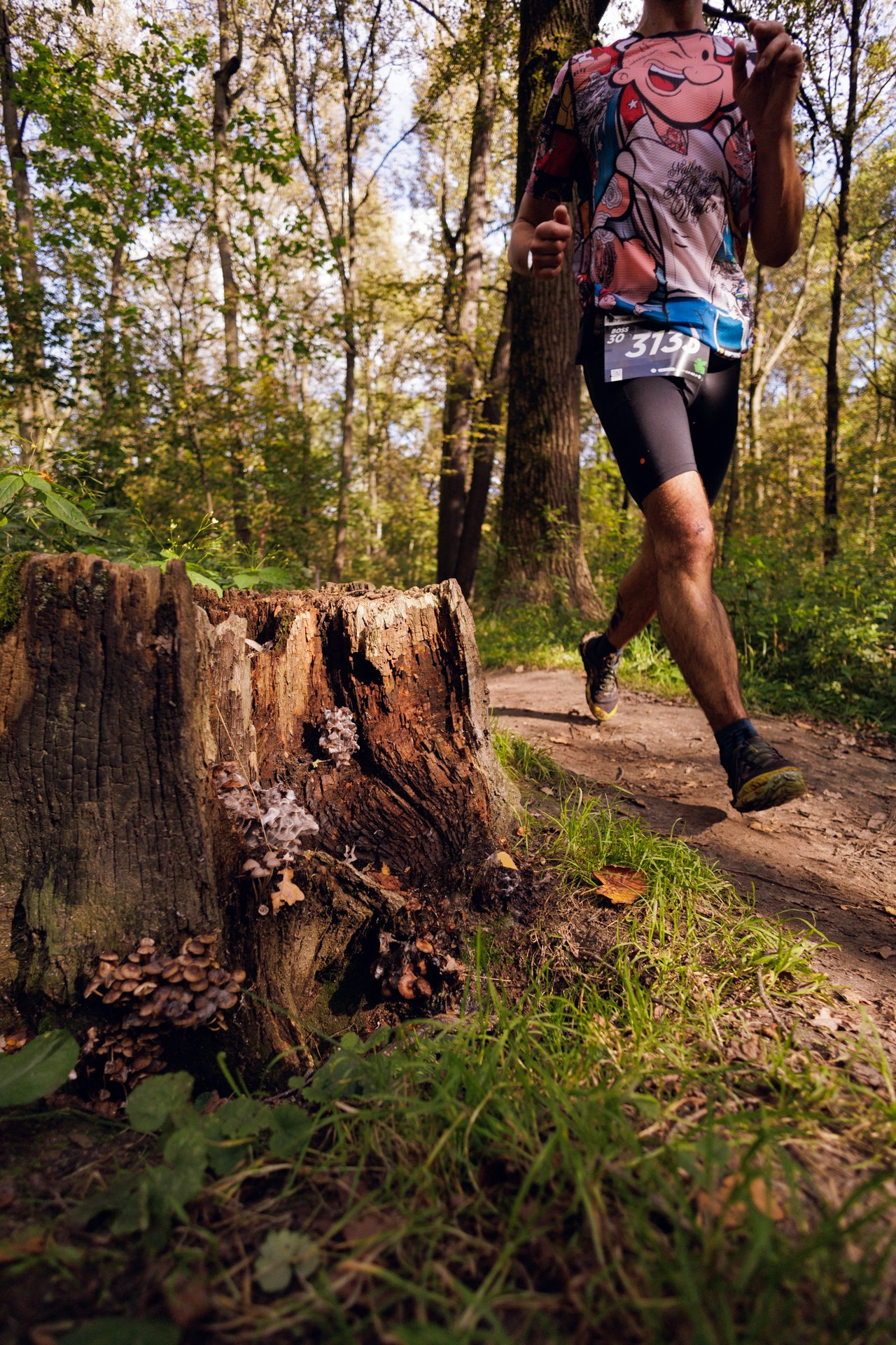 CityTrail Izmailovo