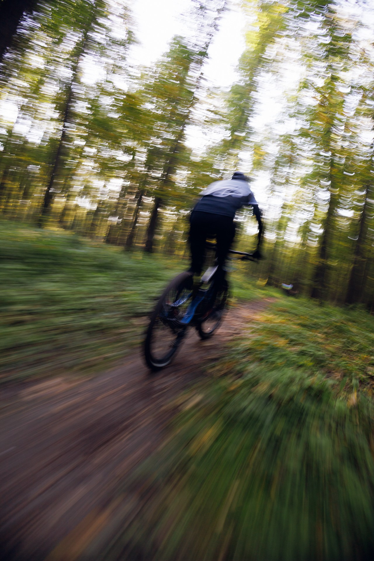 CityTrail Izmailovo