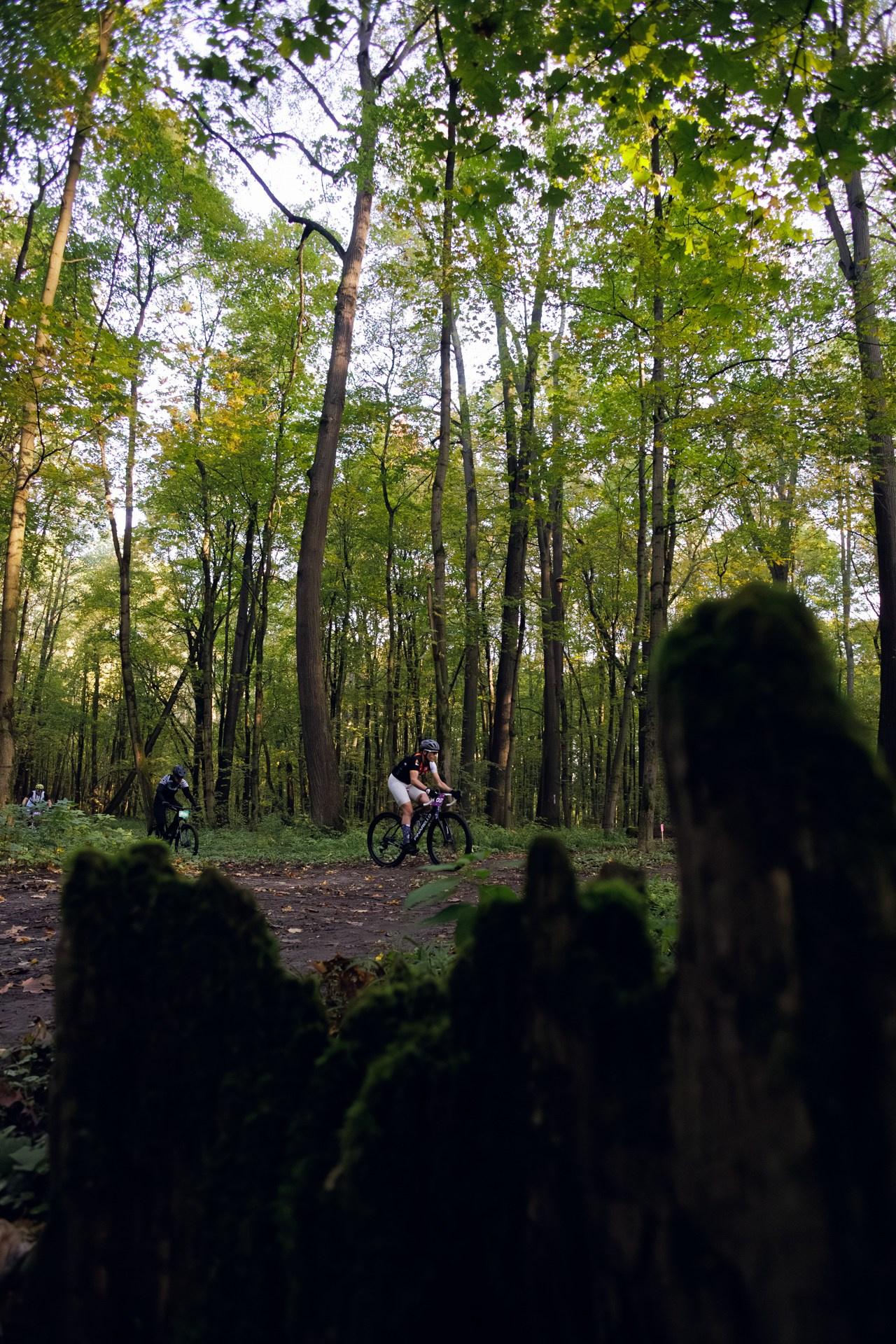 CityTrail Izmailovo