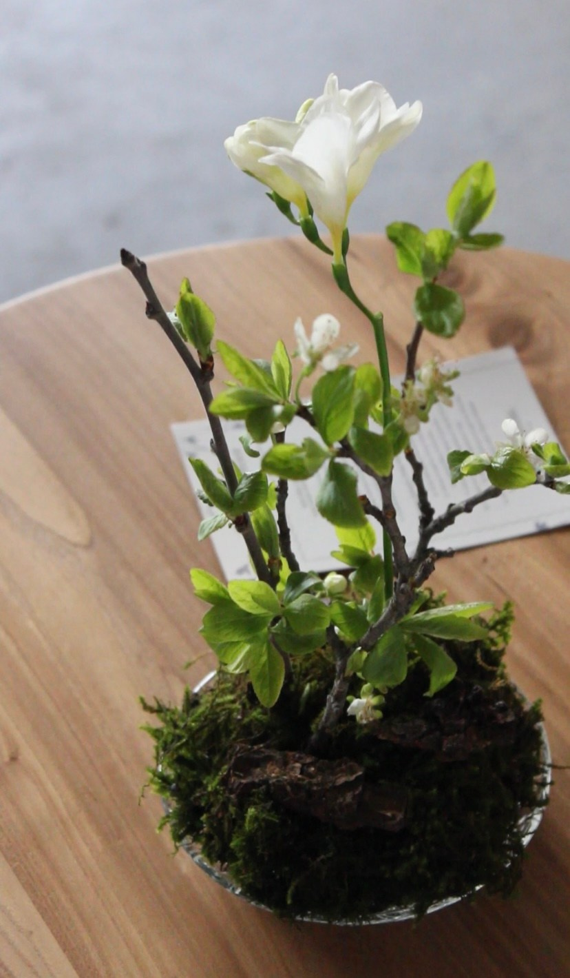 Декорирование. ЛЮБИМЫЕ ЦВЕТЫ