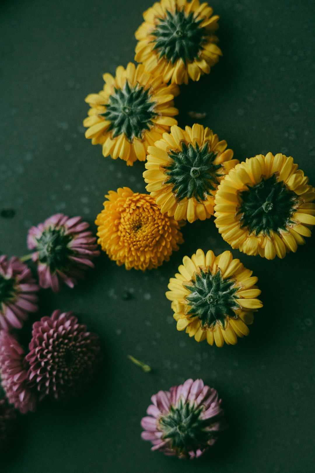 22 zima. Фотограф Нижний Новгород