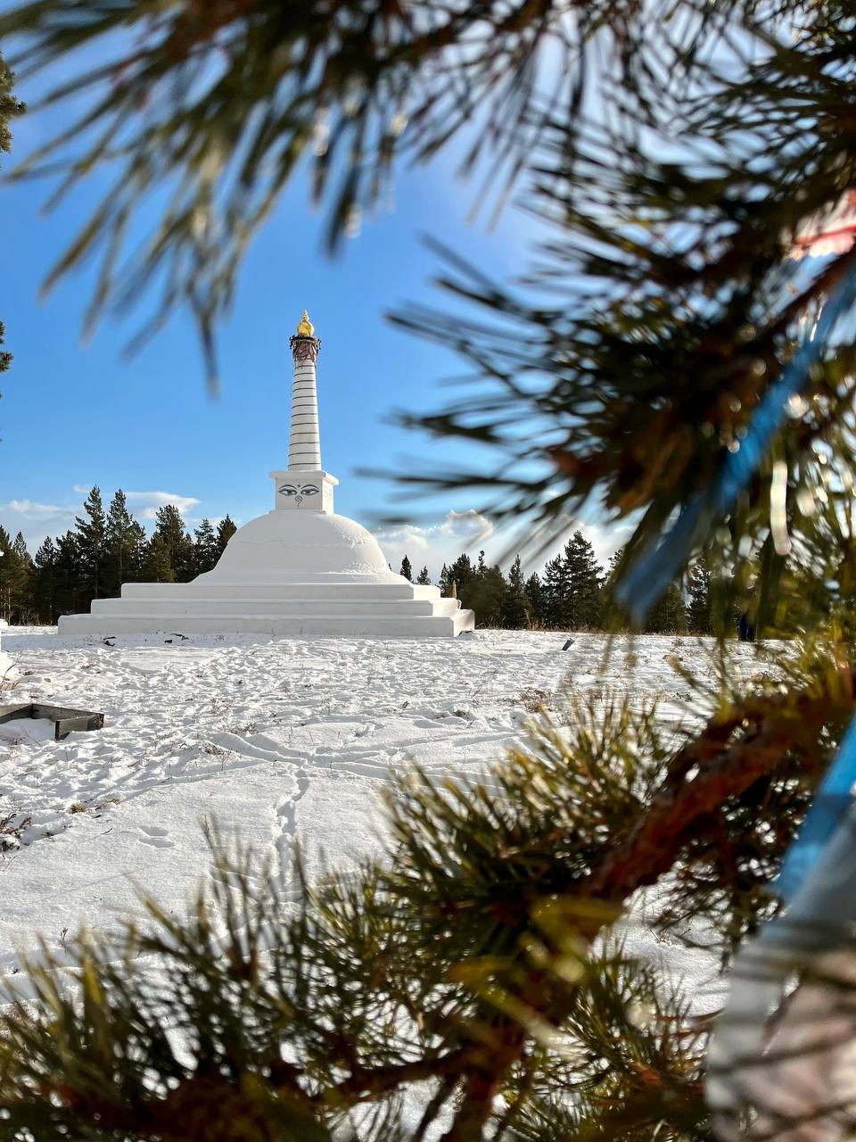 Кижингинский район. Сэсэг — дочь степи | семейный фотограф