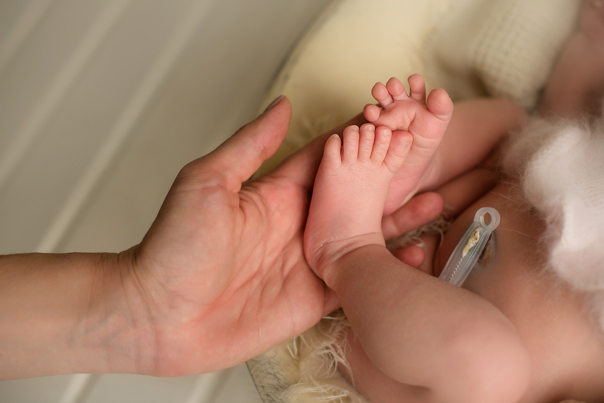 Александра 14 дней (пакет Комфорт). Фотограф новорожденных Елена Панова