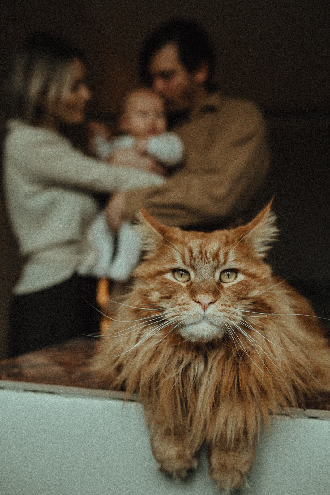 Лида + Фил + Мирон. Лайфстайл фотограф в Чебоксарах и Санкт-Петербурге Тоня Бекнёва