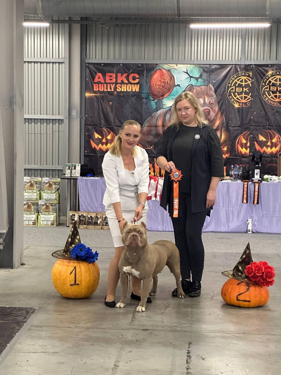 Участие в выставках. Американские булли XL в г. Калининград. Питомник Great Bully UNIVERSE