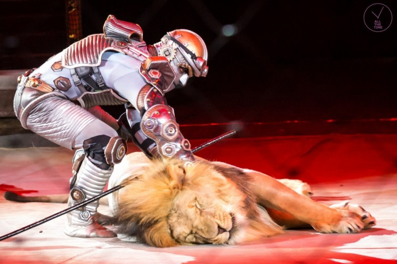 К.У.К.Л.А. Магия музыки в кадре: Концертная Фотография