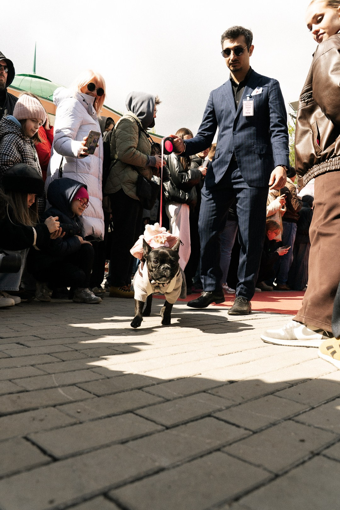 Парад Бульдогов. Axenov_eugene