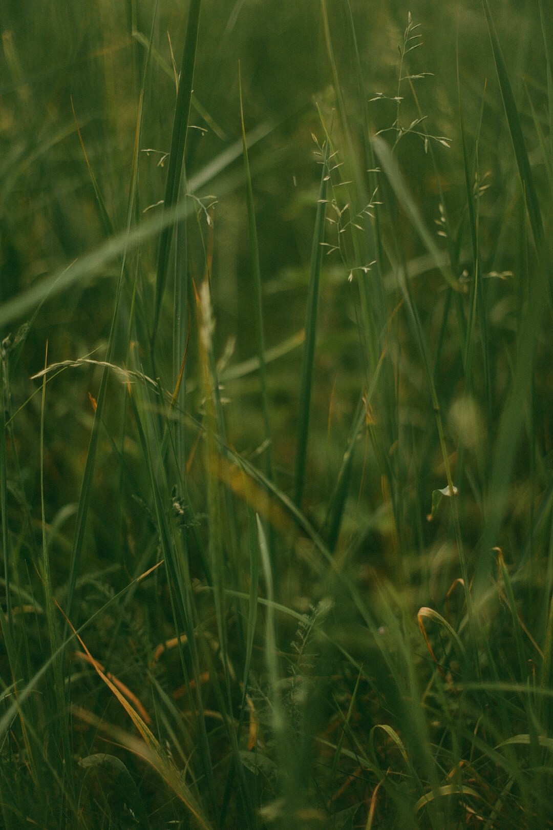 Таня. Фотограф Нижний Новгород