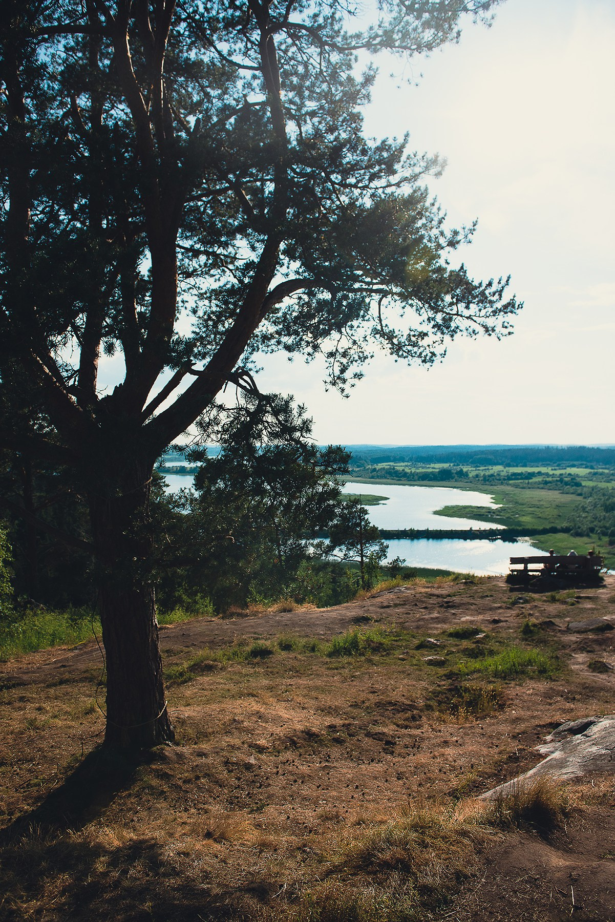 Карелия. Фотограф-анималист Наталья Светличная