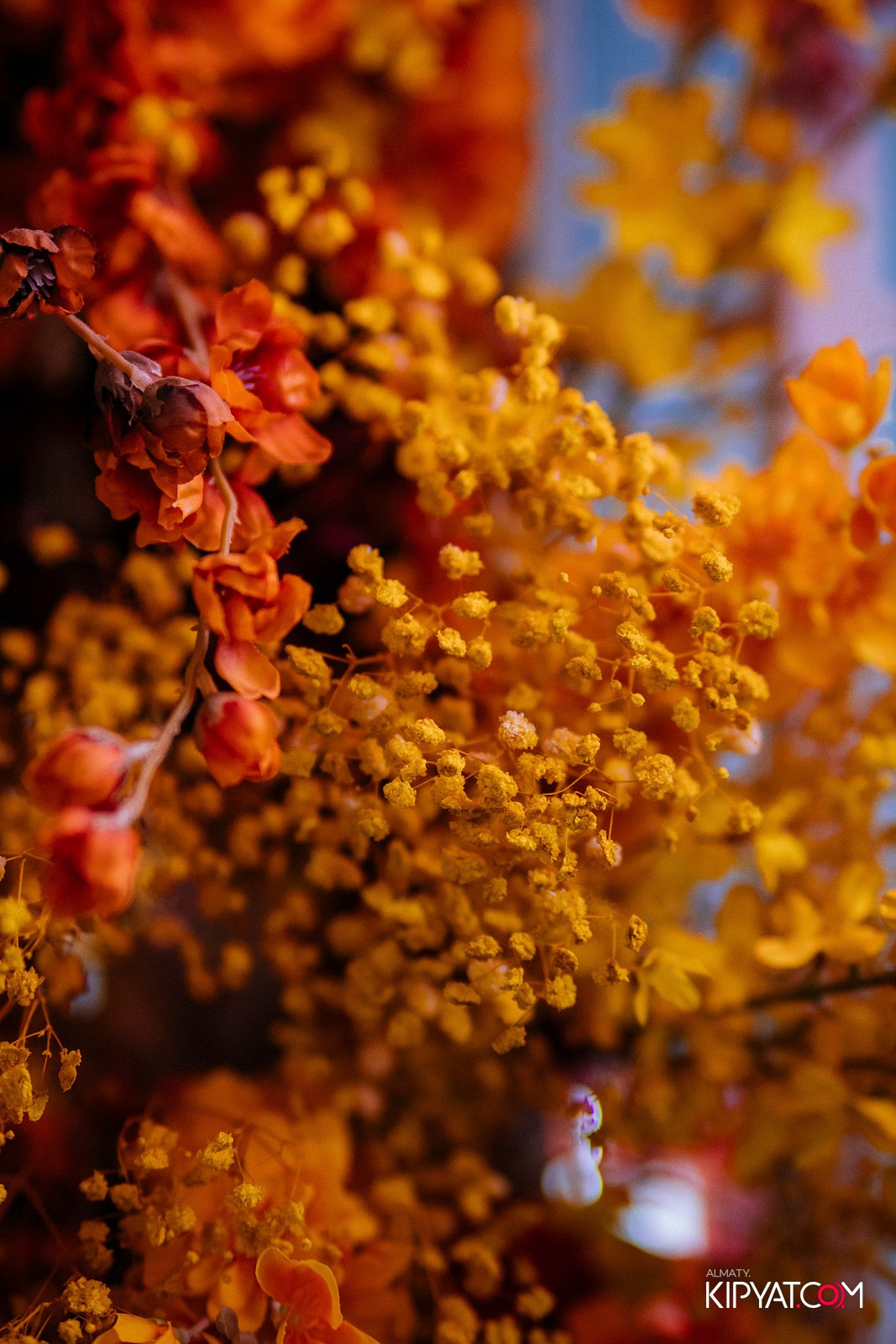 FRIENDS BAR & TERRACE. КИПЯТКОМ АЛМАТЫ!