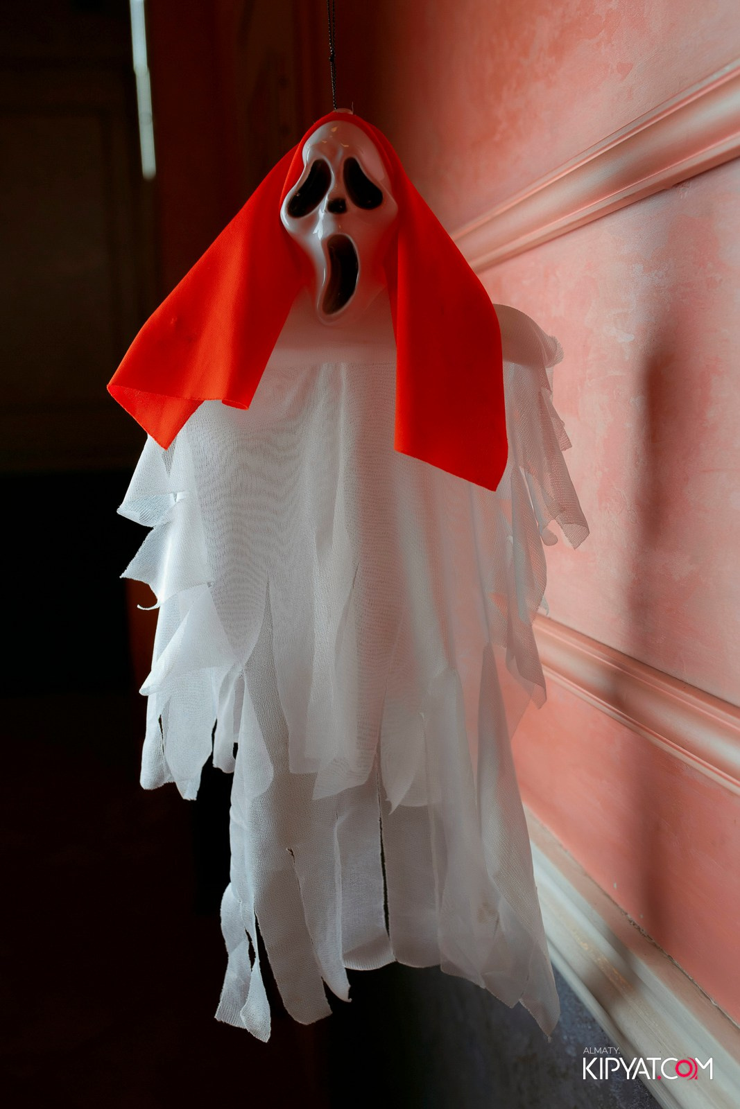 УХО И МЕДВЕДЬ НА КУРМАНГАЗЫ. КИПЯТКОМ АЛМАТЫ!