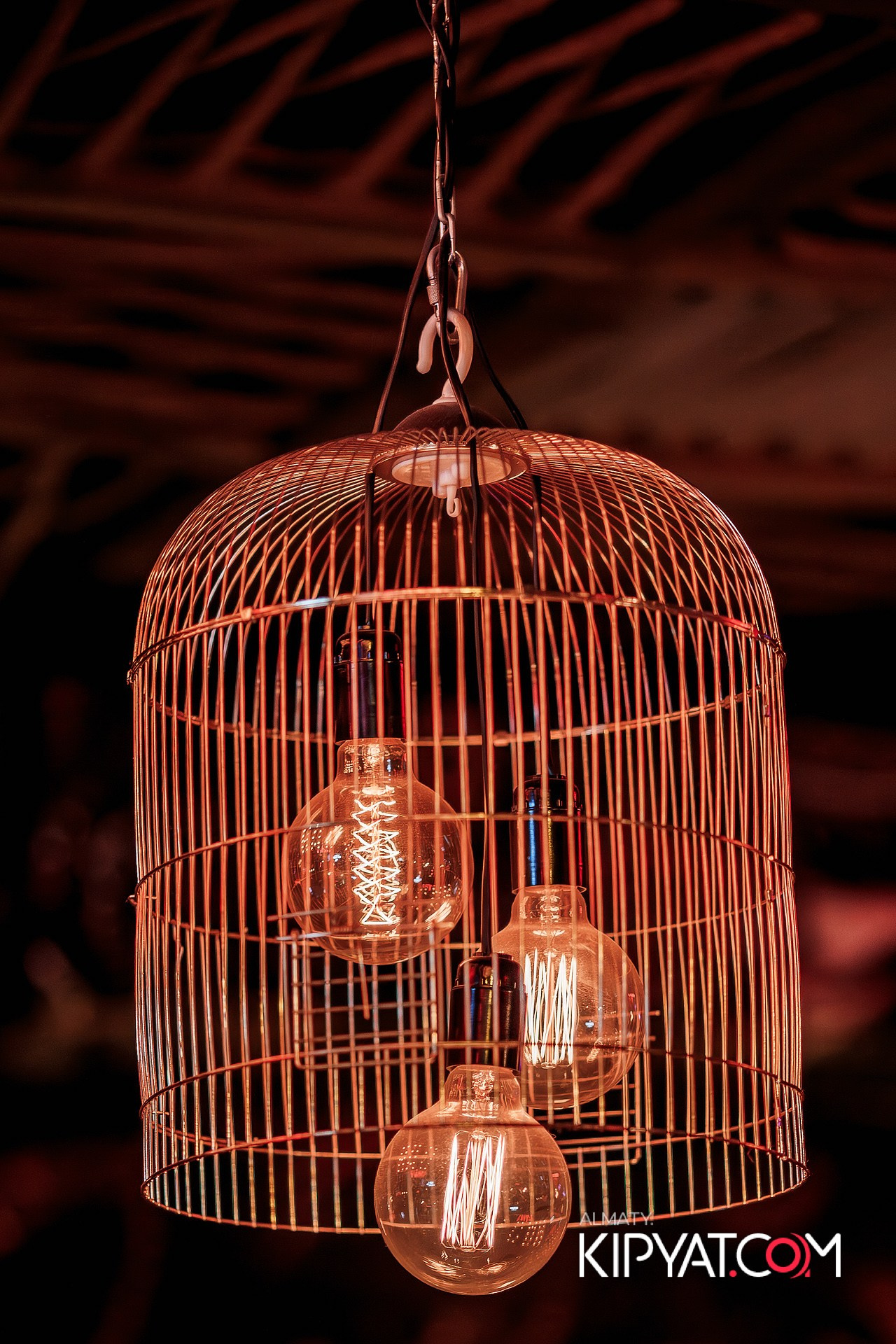 VICTORY MEXICAN AND WILD. КИПЯТКОМ АЛМАТЫ!