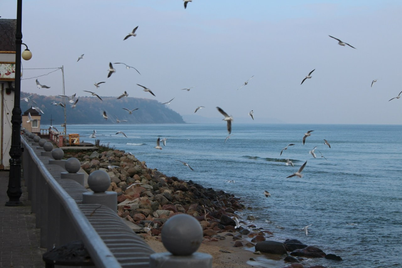 Калининград | 24-26.10.2014. Галерея Фантим