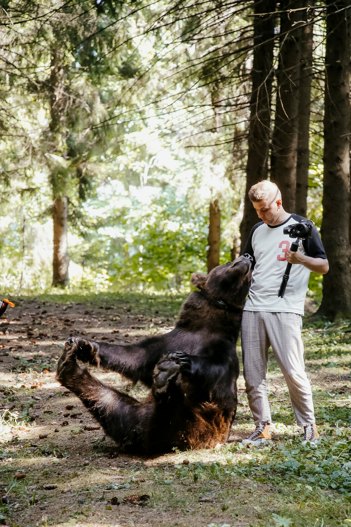 Артисты. Концерты. Фотографирую светом и сердцем в Москве с 2014 года