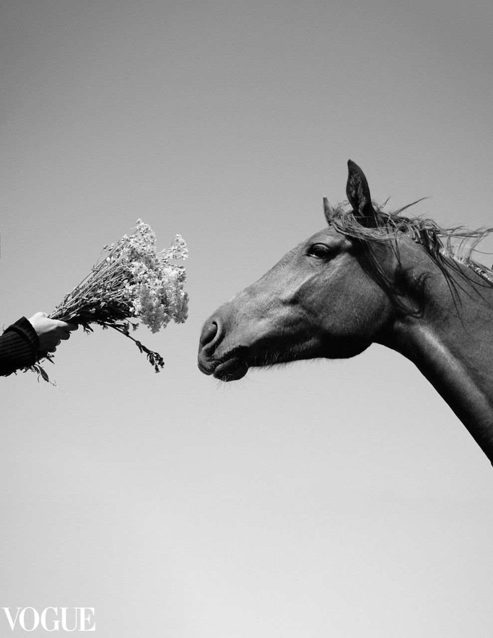 Фотограф Roman Saf