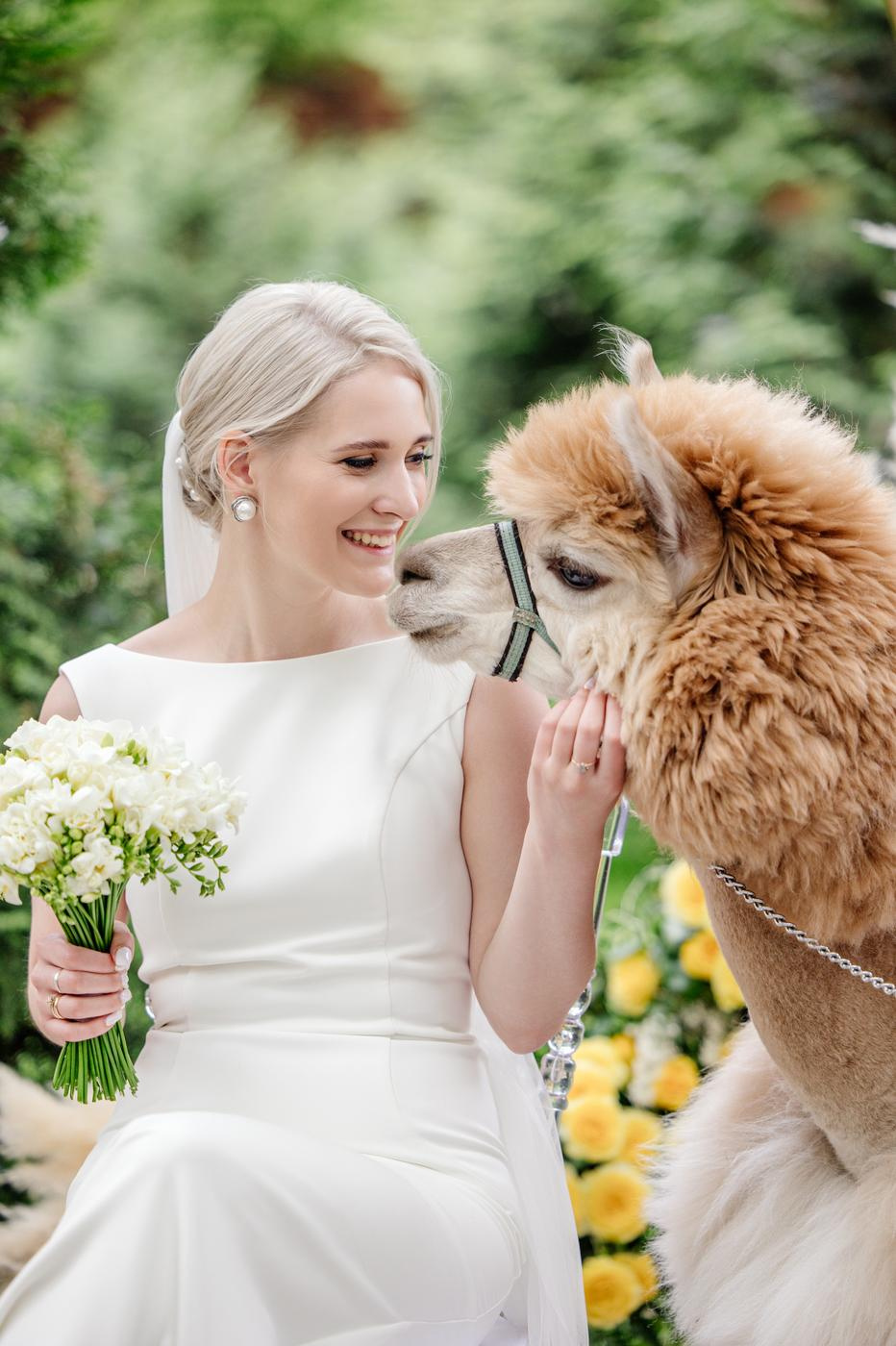 Hyatt Regency. Репортажный фотограф Ольга Кочетова в Москве