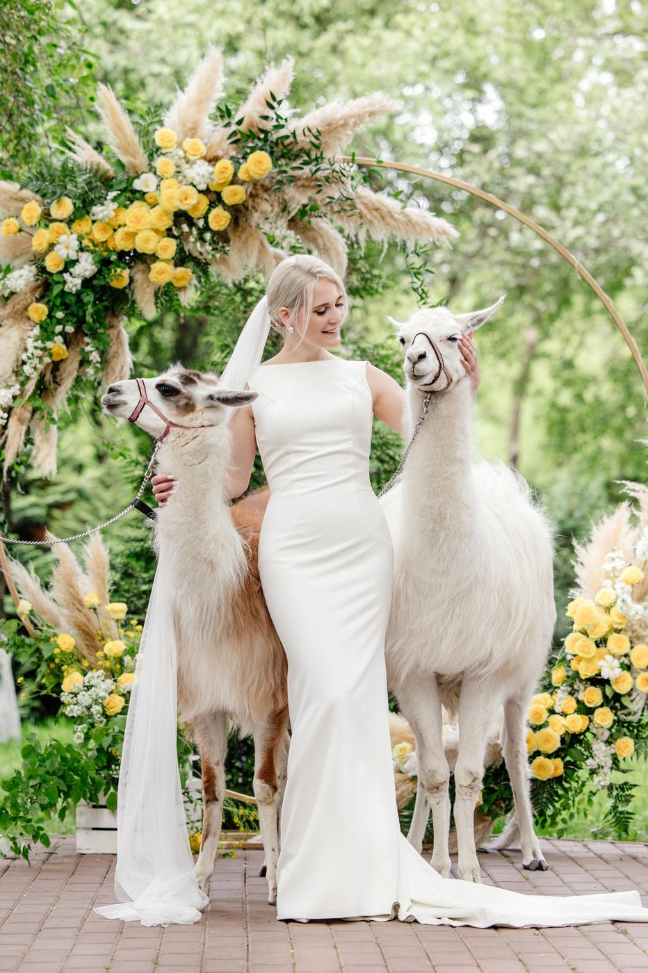 Hyatt Regency. Репортажный фотограф Ольга Кочетова в Москве