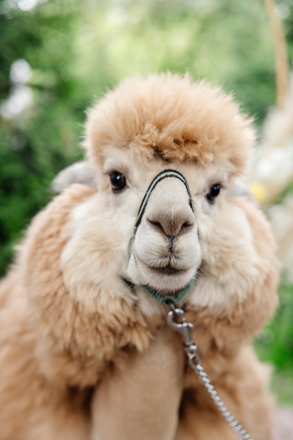 Hyatt Regency. Репортажный фотограф Ольга Кочетова в Москве