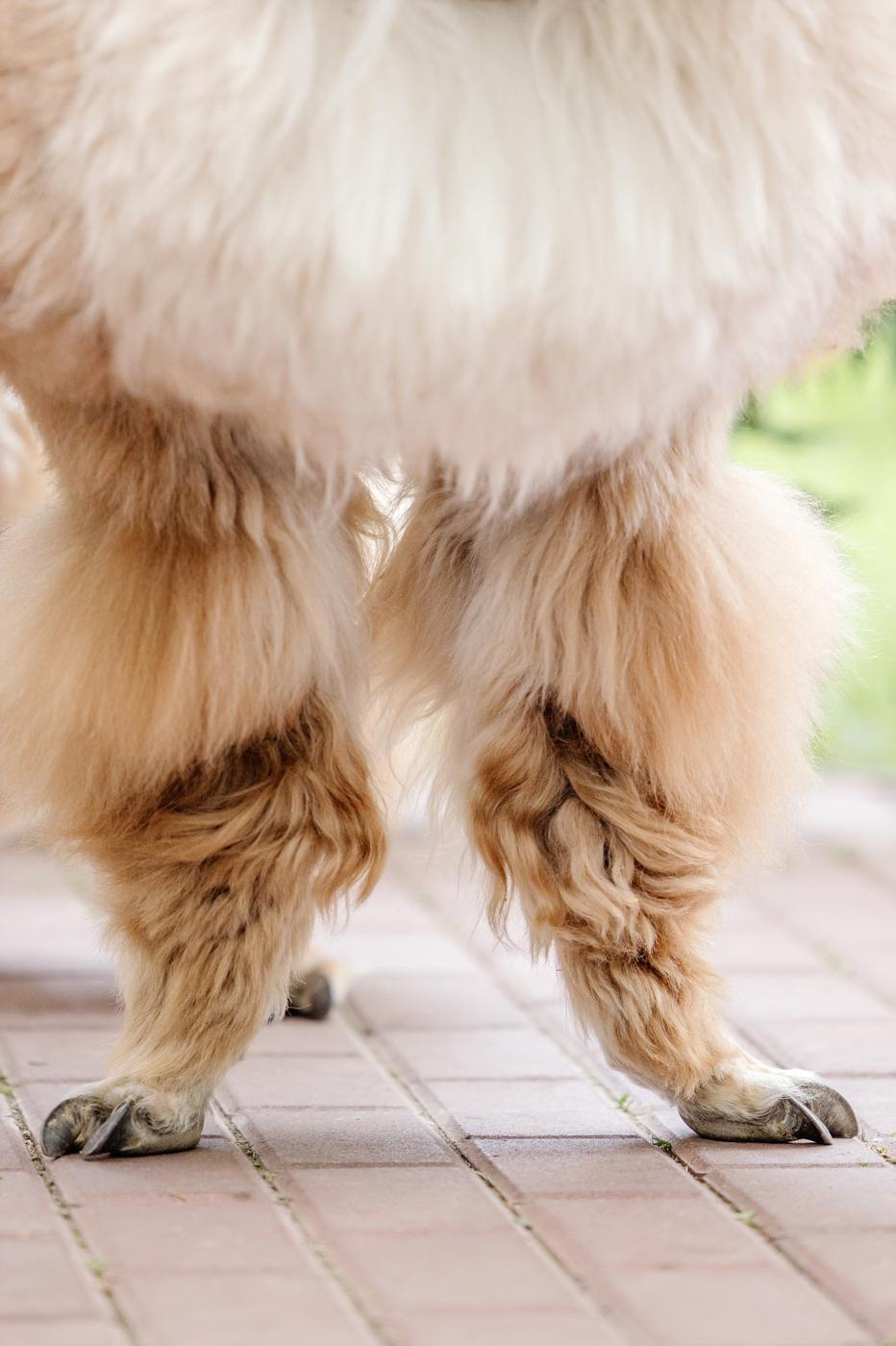 Hyatt Regency. Репортажный фотограф Ольга Кочетова в Москве