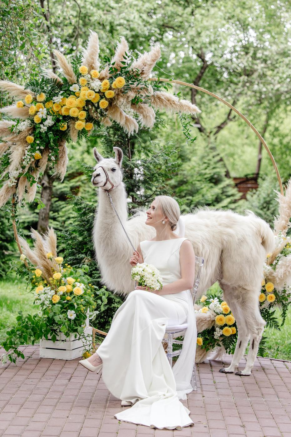 Hyatt Regency. Репортажный фотограф Ольга Кочетова в Москве