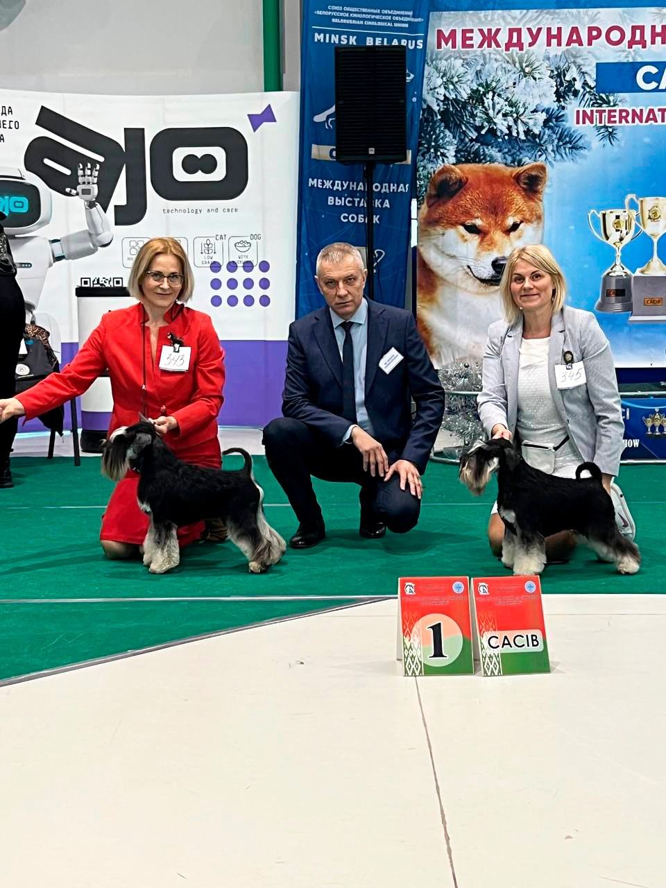 Питомник Делинсо Бэлэнс, щенки цвергшнауцера, купить щенка цвергшнауцера, питомник цвергшнауцеров, кобель цвергшнауцера для вязки, щенок цвергшнауцера, питомник цвергшнауцеров, черный с серебром, цверг, лучший питомник в беларуси