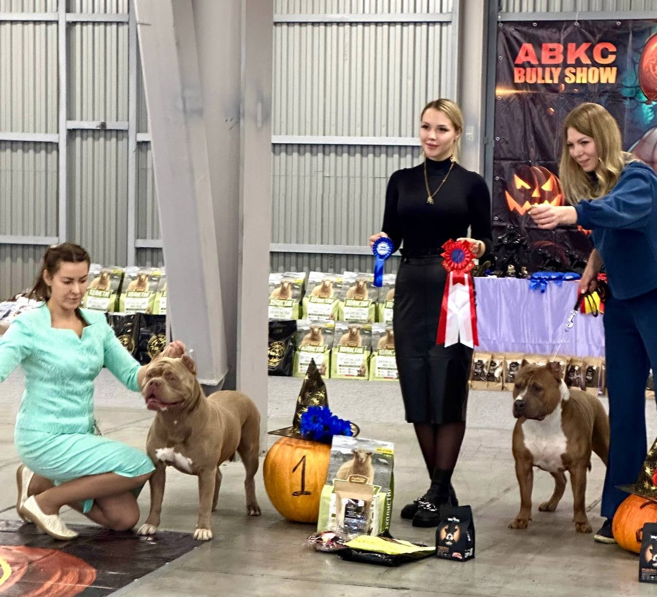 Участие в выставках. Американские булли XL в г. Калининград. Питомник Great Bully UNIVERSE