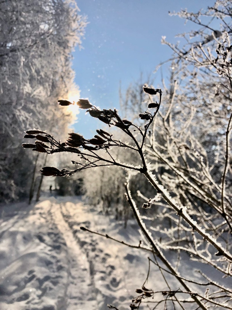 Мобильное фото. Фотограф в Москве Дудкова Юлия