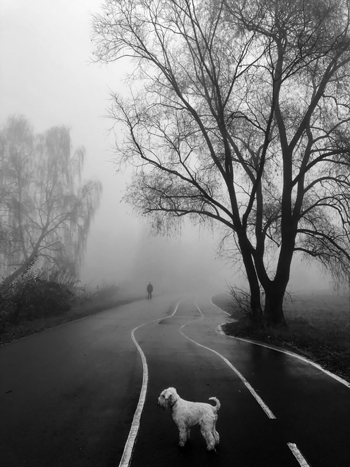 Мобильное фото. Фотограф в Москве Дудкова Юлия