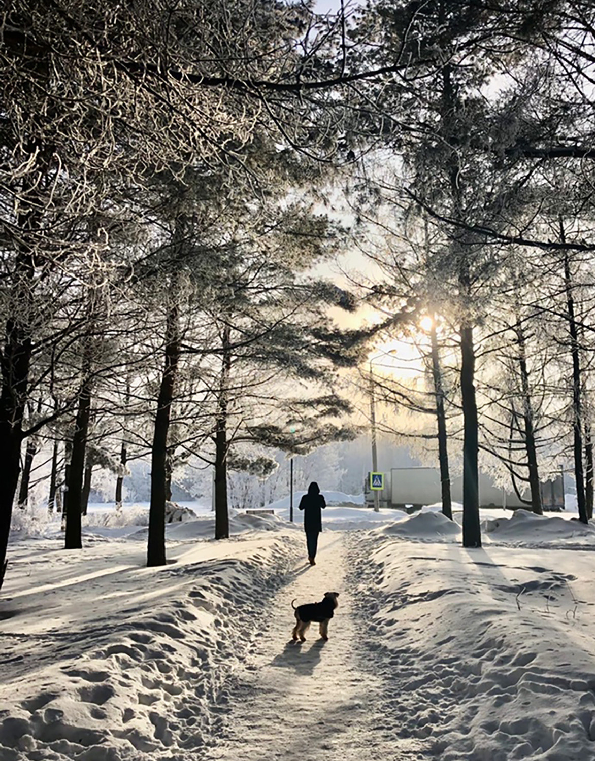 Мобильное фото. Фотограф в Москве Дудкова Юлия