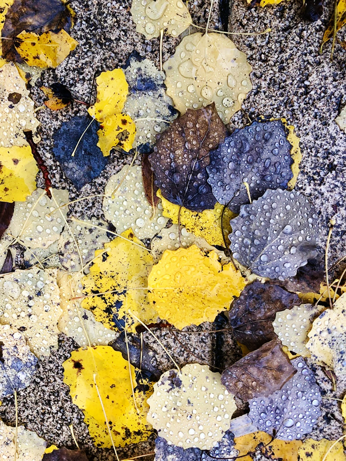 Мобильное фото. Фотограф в Москве Дудкова Юлия