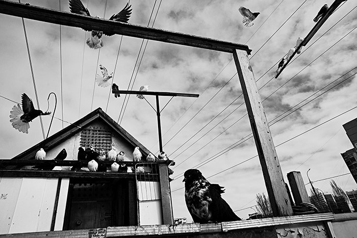 2013— Гран-при. Фотообъединение Самарского областного отделения Союза журналистов России