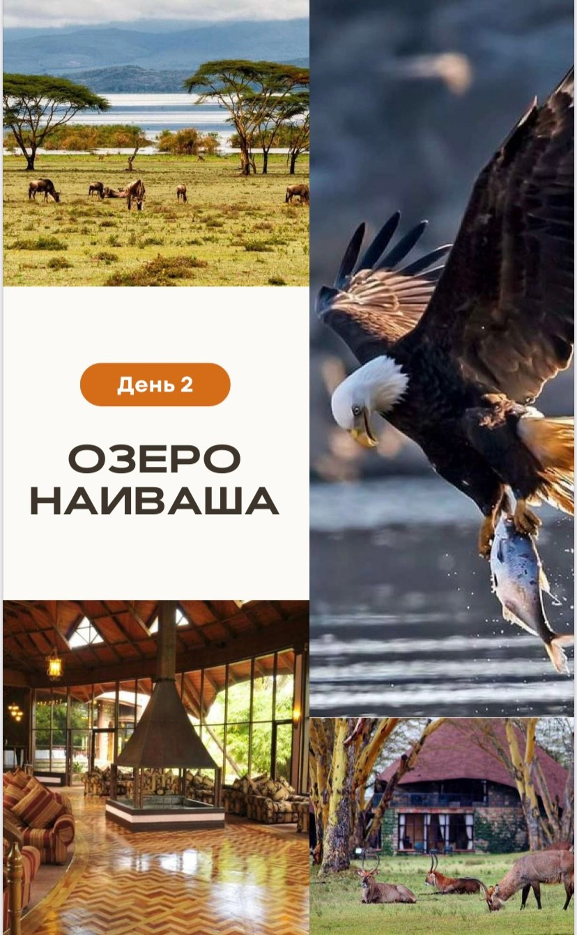 КЕНИЯ 20-26,03. Семейный фотограф, фотосессия беременности в Новосибирске Кристина Киб