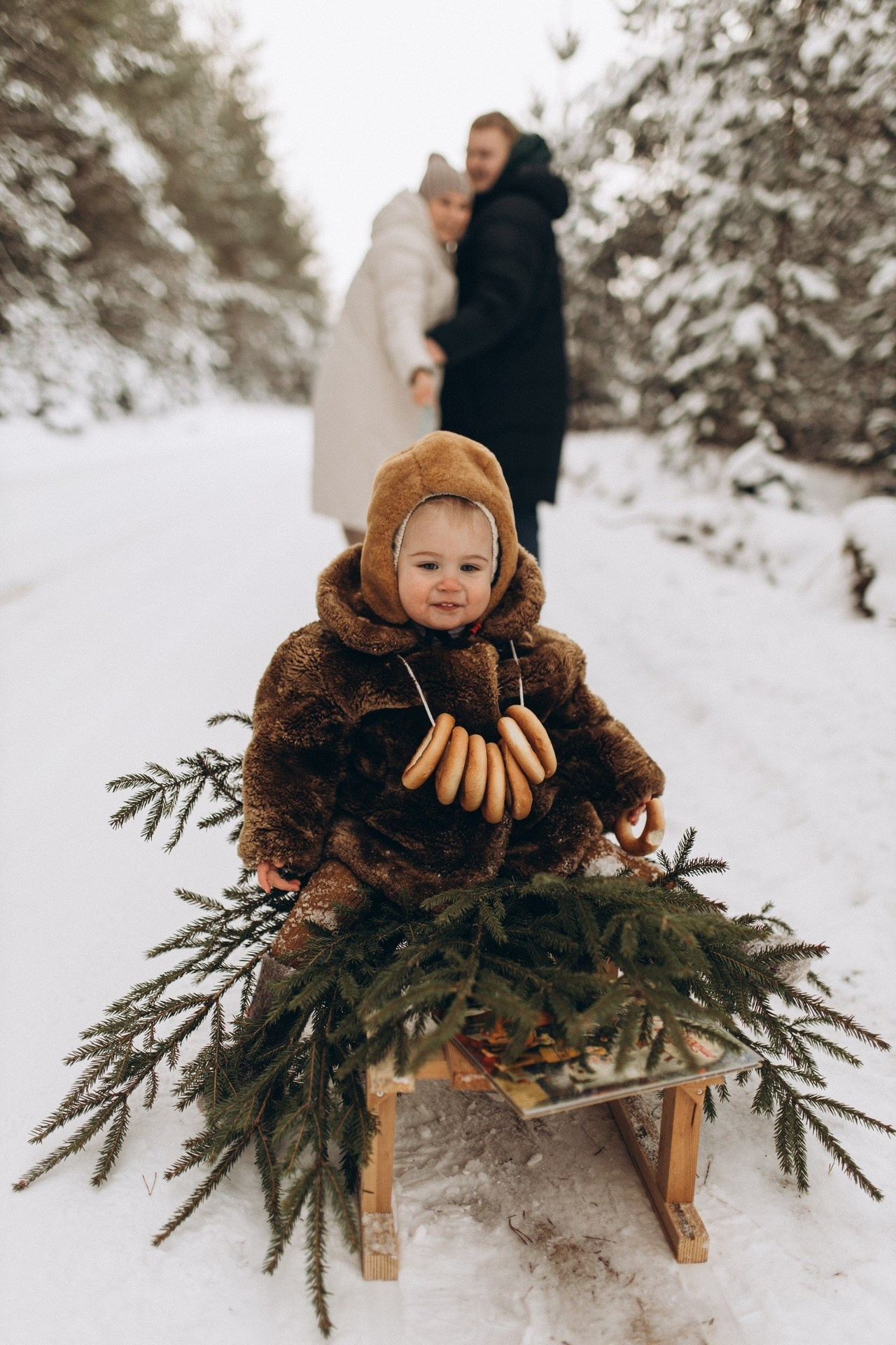 Приключение Вовы и его родителей. Услуги