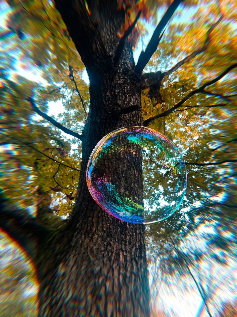 Сайт о творческой деятельности