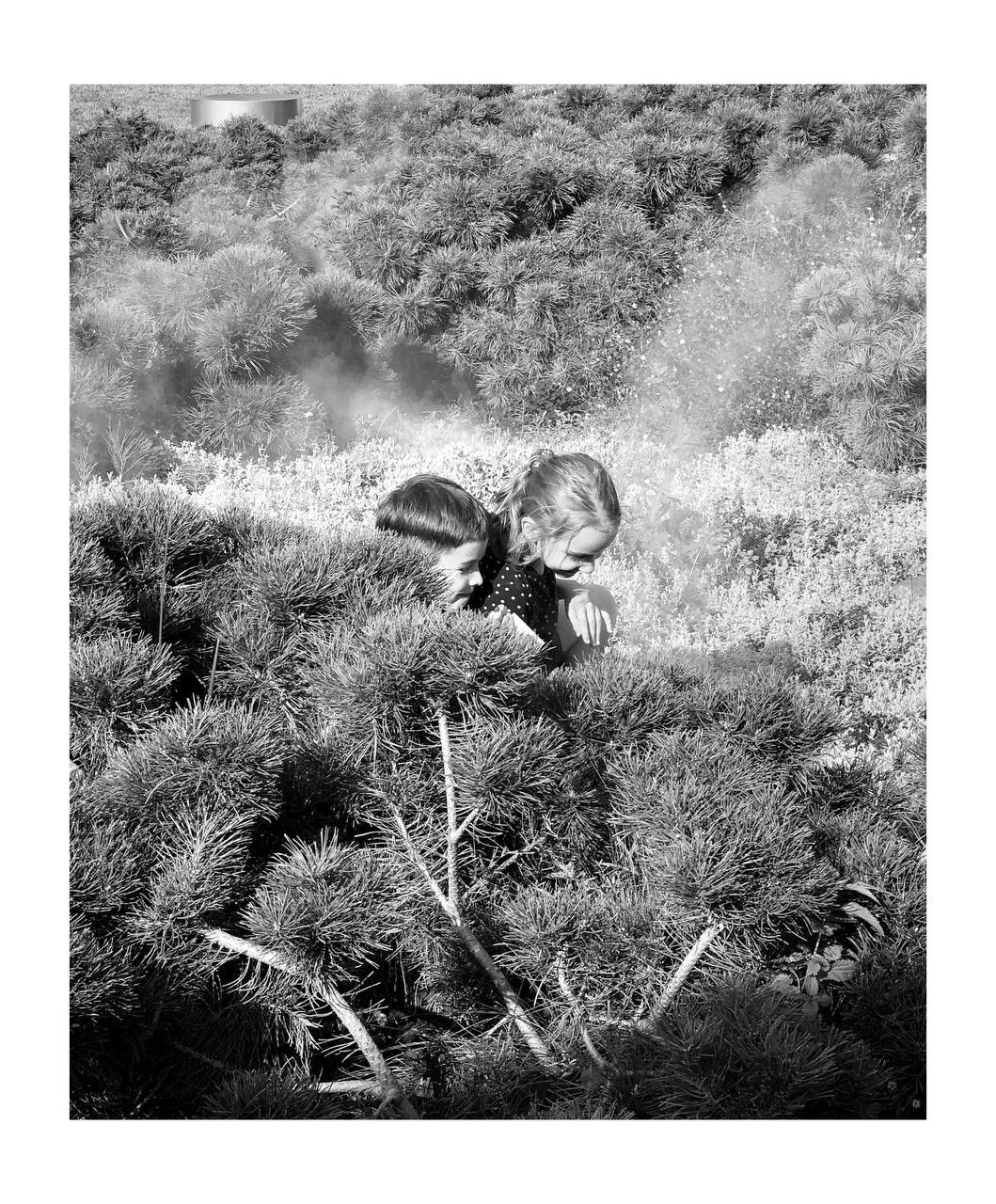 24.08.2024 // Фотопрогулка с Гагиком Егиазаряном. Фотовыставки serebro.gallery, в которых автором можешь стать ты! | Москва