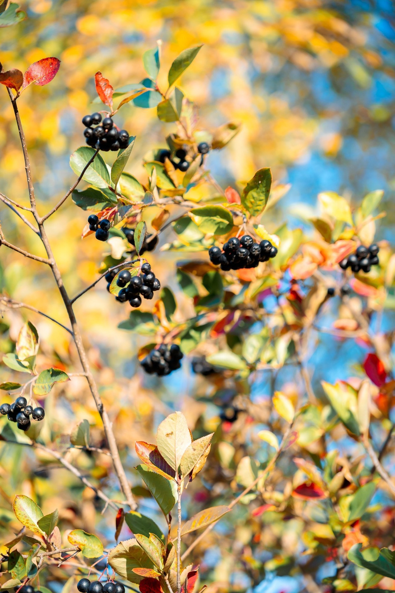 Отзывы. Фотограф Александр Золотых