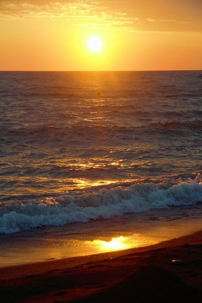 35 AWARDS. Семейный и свадебный фотограф в Москве и Домодедово Анна Авилочкина