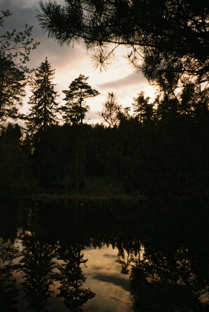 Плёночные воспоминания. Портретный и коллажный фотограф из Москвы