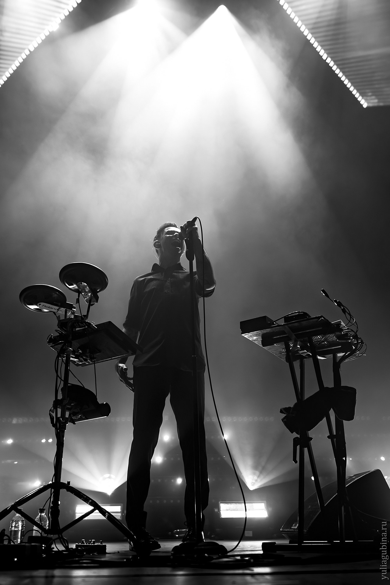 Дельфин, 01.12.24, Atmosphere