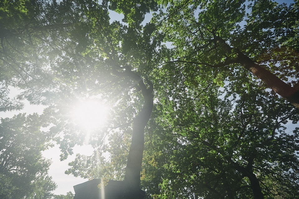ВМЕСТЕ 46 ЛЕТ. Фотосессии. Свадебная, студия, портрет. Ваш фотограф в Санкт-Петербург