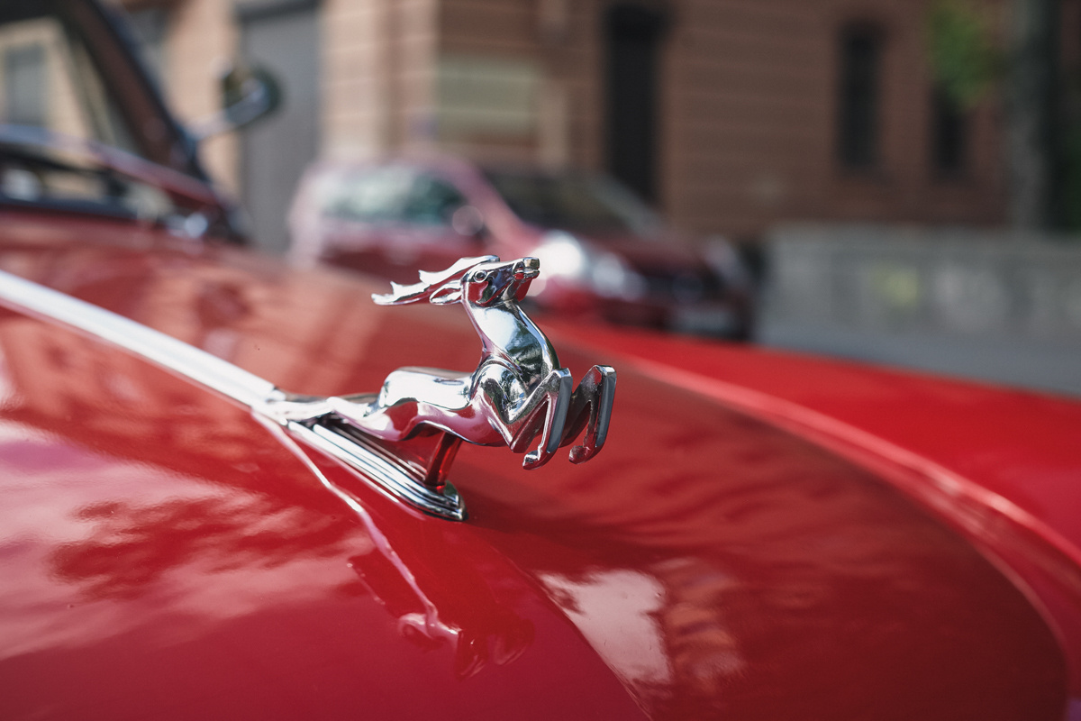 ВМЕСТЕ 46 ЛЕТ. Фотосессии. Свадебная, студия, портрет. Ваш фотограф в Санкт-Петербург