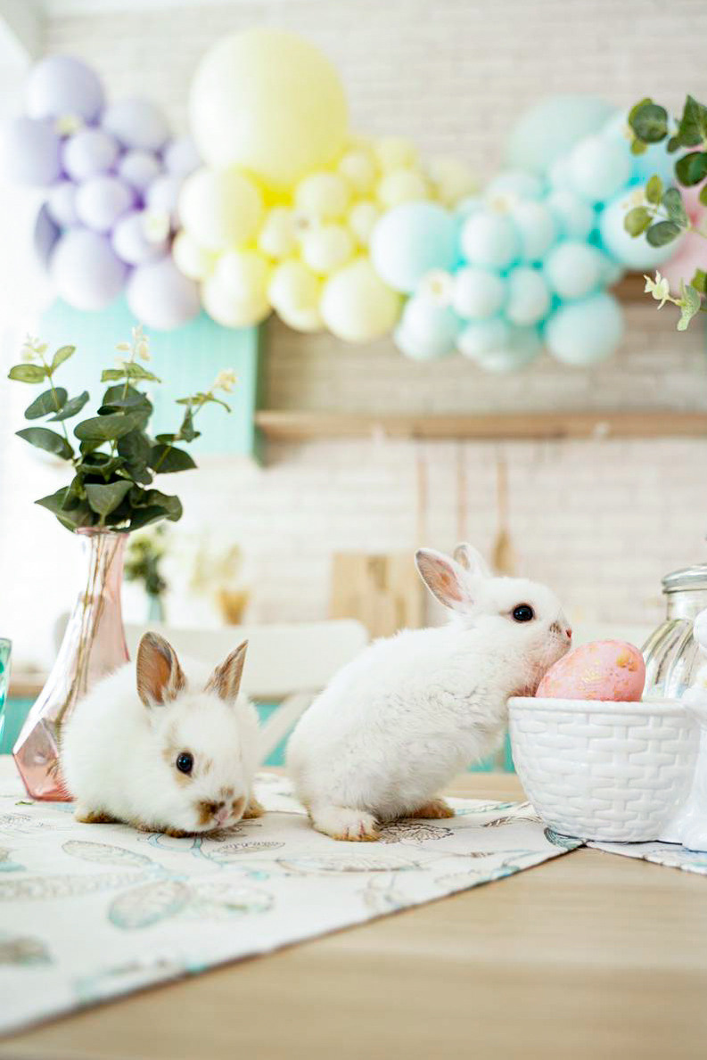 Пасхальная фотосессия. Семейный и детский фотограф в Москве Евгения Миронова