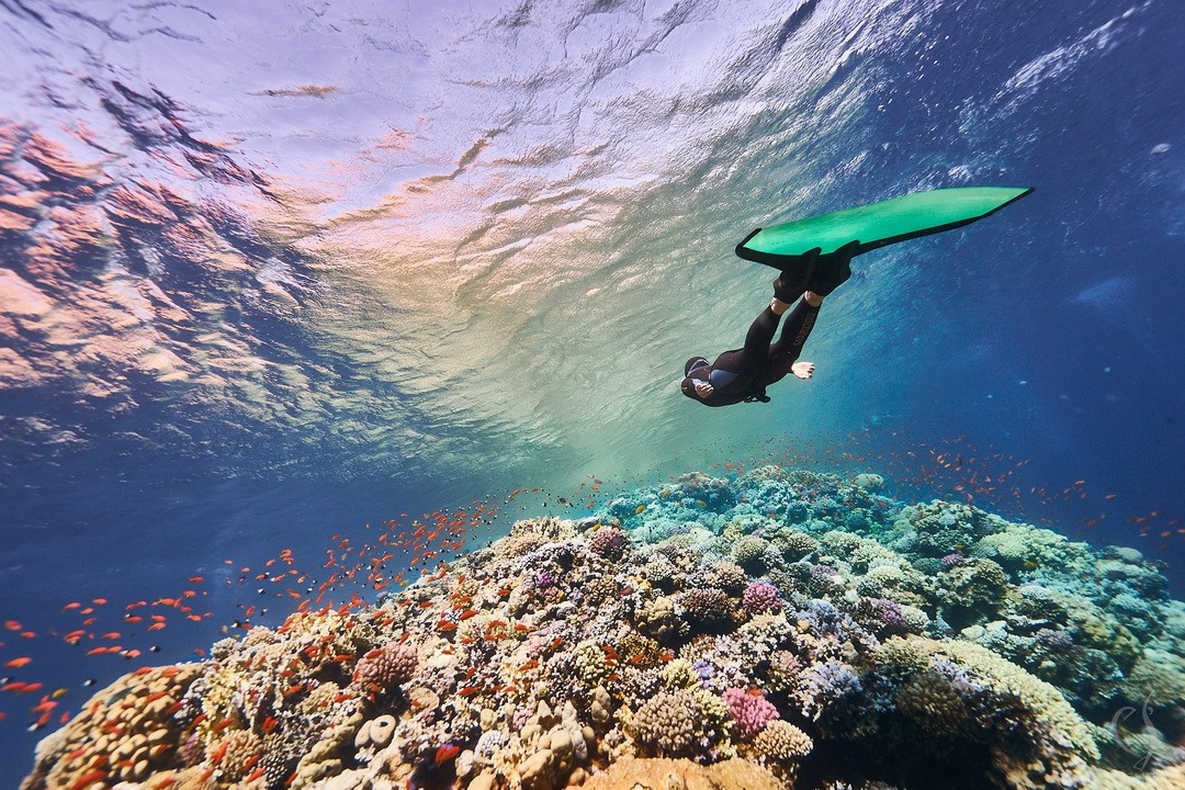 Подводная съемка в море. Главная
