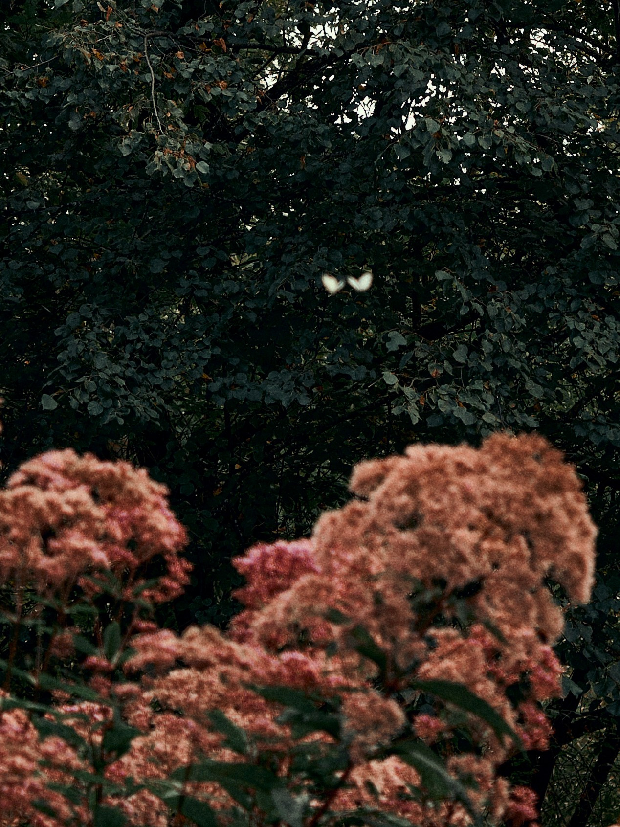 Street. Портретный фотограф в Москве